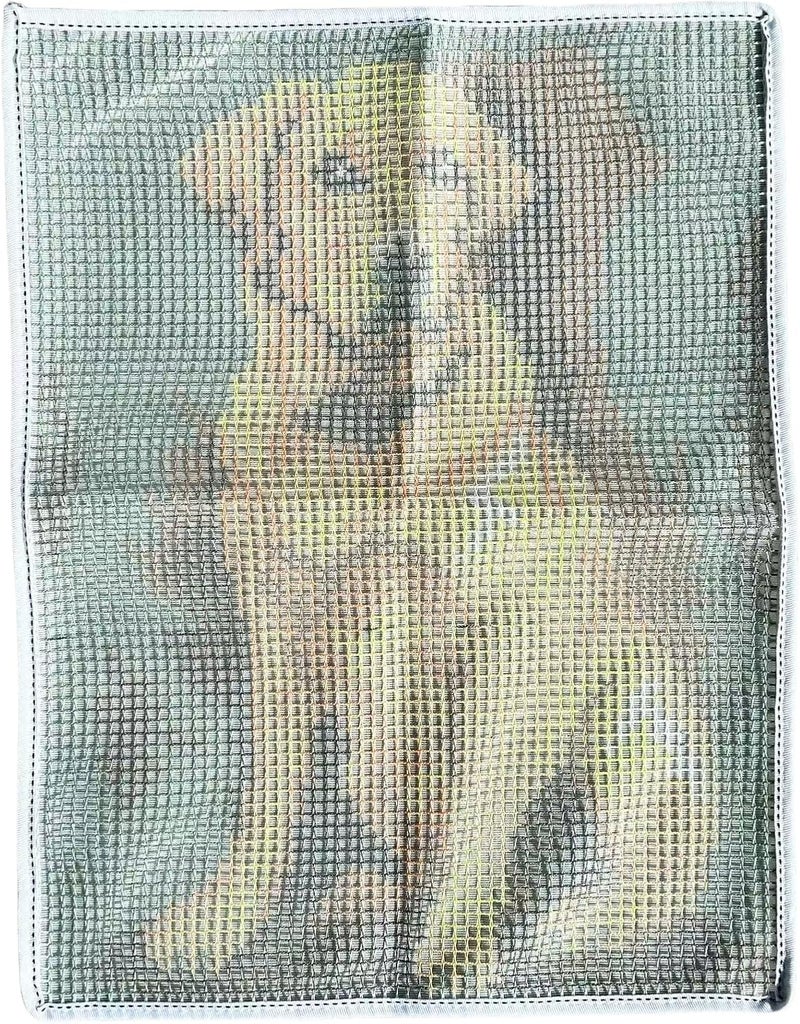 GLAECYY Latch Hook Kits Rug Crochet Yarn Kit Cushion Colour Pre-Printed Canvas Rug Needlework DIY Hook and Latch Kit (Gray Dog) - Image 5
